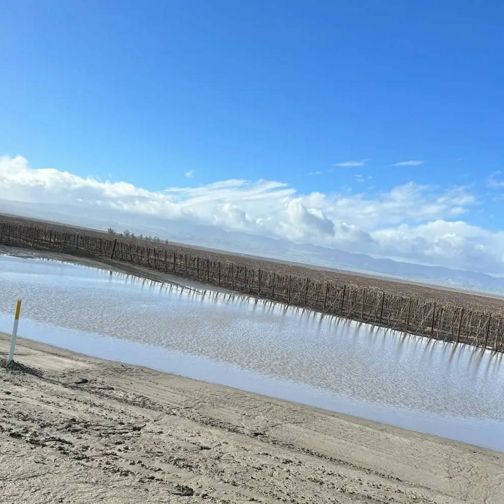 United Farm Workers on Twitter "Sandra shared this photo of the Arvin