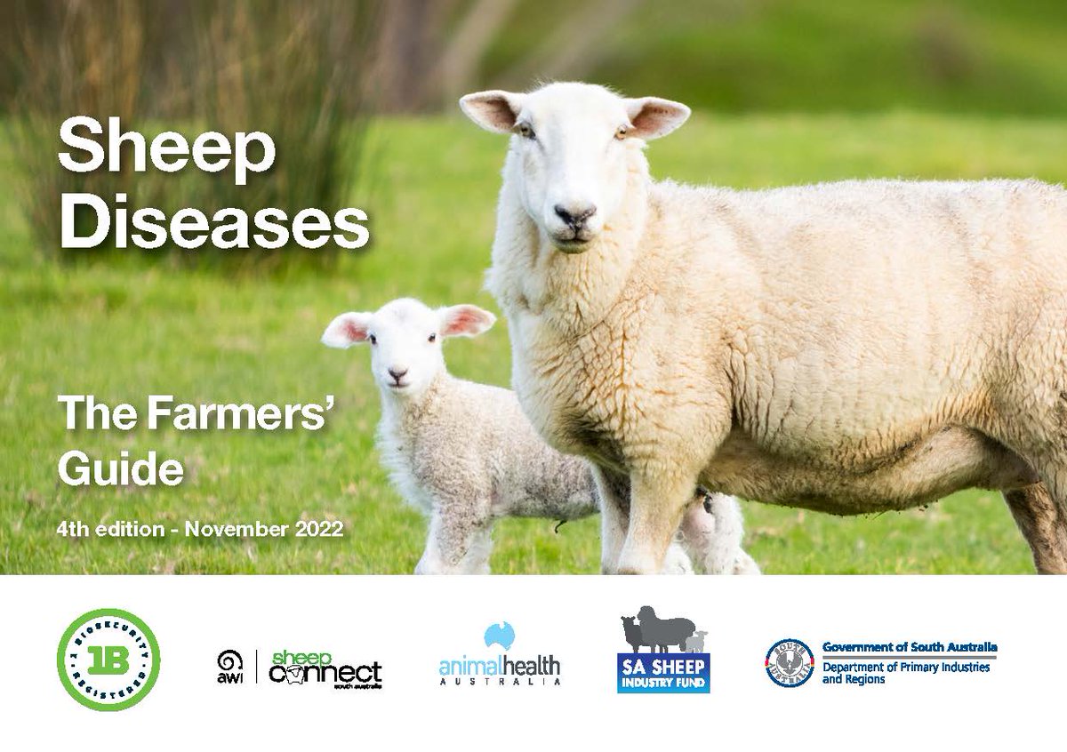 New edition of Sheep Diseases - The Farmers Guide has been released. The guide is a quick-reference tool to help farmers take action when faced with a broad range of sheep diseases. Download a copy bit.ly/3CQEMxG or catch one of the SheepConnect SA team for a copy.