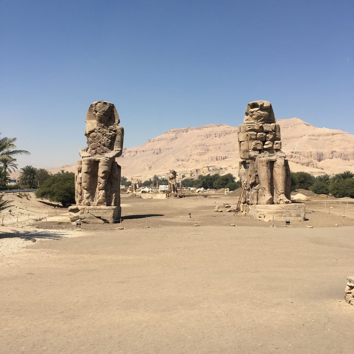 zoemcquinn's tweet photo. Day 16 of 365 days of #ancientEgypt #AmenhotepIII #colossiofMemnon https://t.co/JovF4XP1bu