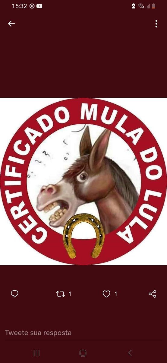 Sonia Passos tweet media