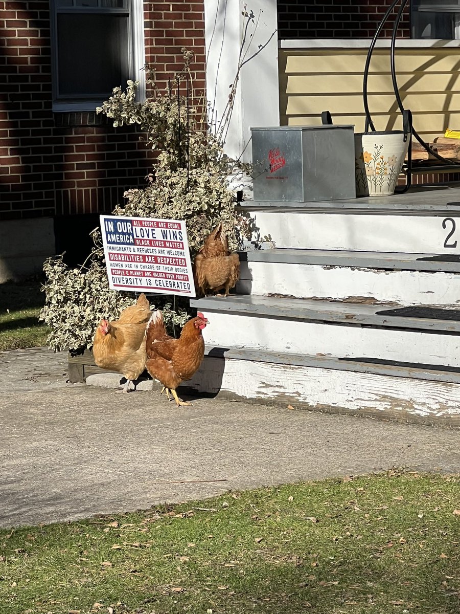 sarlands's tweet photo. the chicks in state college are unparalleled https://t.co/gWZKt1SeRm