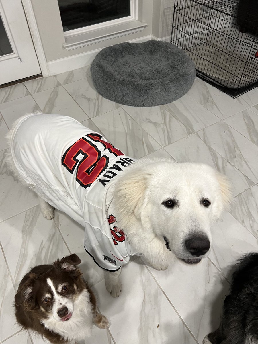 LTX Raiders 2024 tweet media