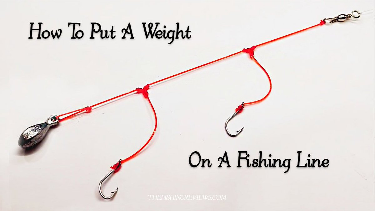 ThefishingR's tweet photo. Put A Weight On A Fishing Line: Learn the Best Know-How
Link: https://t.co/7z5myab3Xp
#fishing #fish #fishinglife #catchandrelease #bassfishing #nature #outdoors #carpfishing #fishingislife #pesca #bass #carp #flyfishing #fisherman #fishingtrip #largemouthbass #fishingaddict https://t.co/kpsnPjOR7M