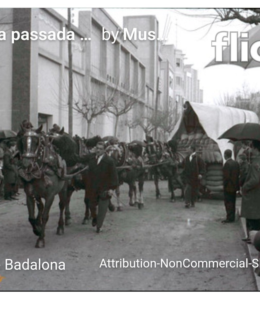 esthersansa's tweet photo. Avui és Sant Antoni Abad, un dia marcat en vermell pels que som fills i nets de #carreters i #traginers. No oblidem les tradicions!! https://t.co/Q9IzIM6gRd