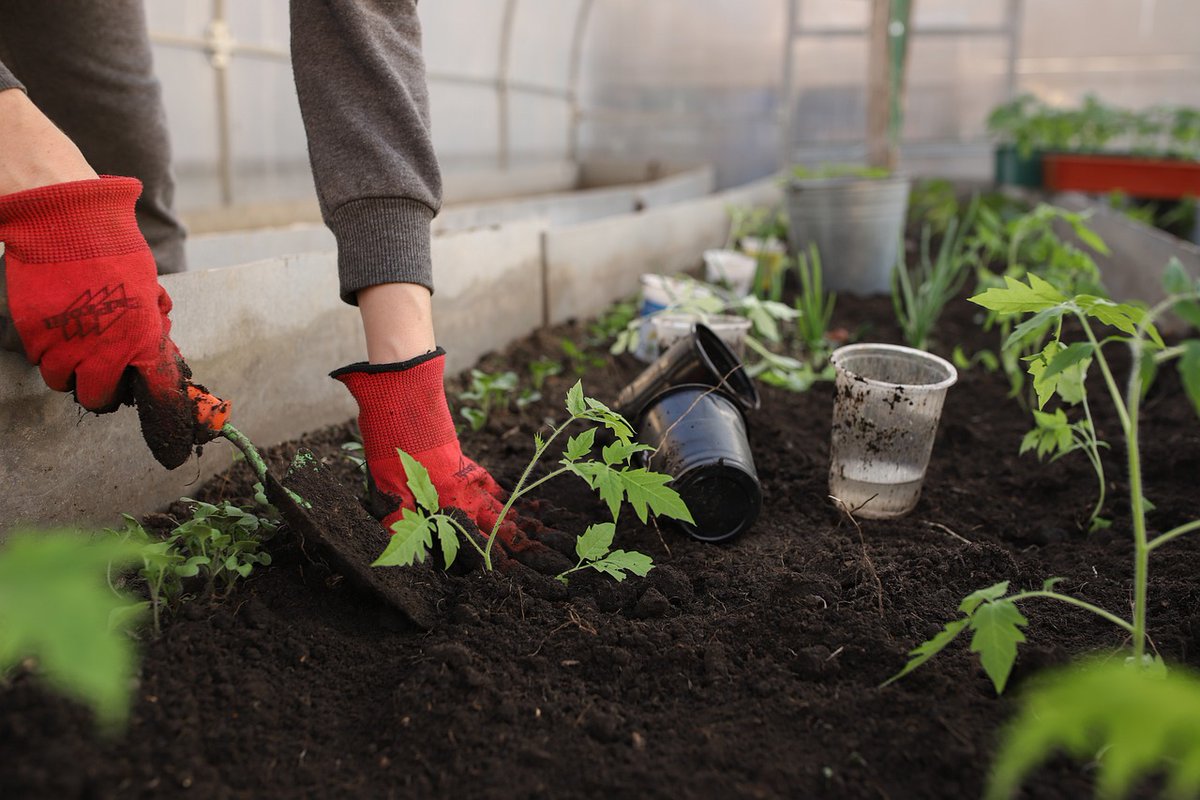 RobAdvertiser's tweet photo. Garden Like A Pro with this #Product
#gardening

https://t.co/9OqCvviSi8 https://t.co/x68yMs6glv