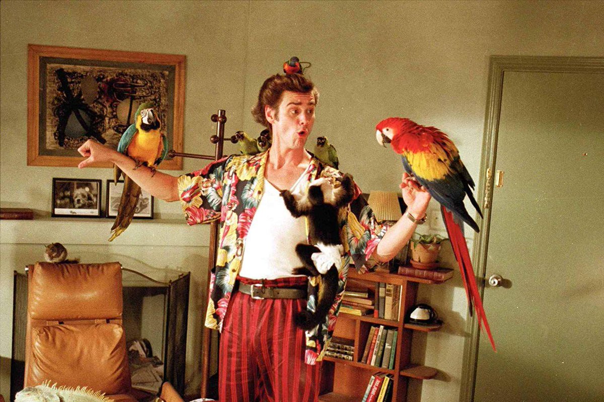 FalaAnimalSite's tweet photo. O ator e comediante Jim Carrey comemora hoje 61 anos!
Qual é seu filme preferido com ele?
#jimcarrey #aniversario #charada #omaskara #oshowdetruman #debieloid #batman #aceventura #todopoderoso #dccomics #sonic #birthday #riddler #themask #thetrumanshow #brucealmighty https://t.co/Ez8UhxDxzz