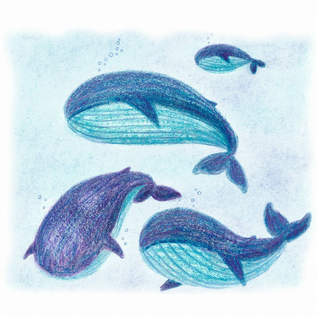 ZTBASTIAN's tweet photo. N. 53 #100daysofwhales "Family Migration" 🐋 #illustration #whale #sealife #crayon #drawing https://t.co/JAaDmOWqIs
