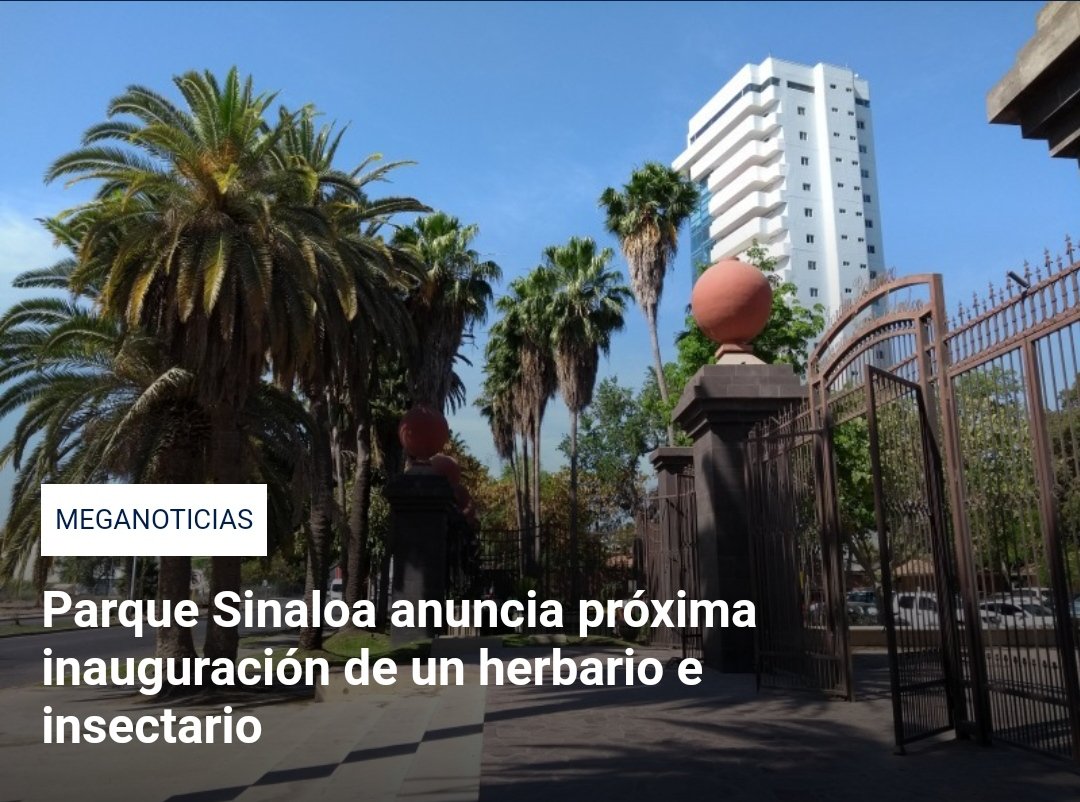 MeganoticiasLMM's tweet photo. #ParqueSinaloa el Jardín Botánico Benjamín Francis Johnston de Los Mochis próximamente contará con un herbario e insectario, donde habrá exhibición de diferentes especies para su estudio e investigación.
📱https://t.co/Oflt0hi1Go
💻 https://t.co/hXi4foVvvk https://t.co/HC01uf1gqU