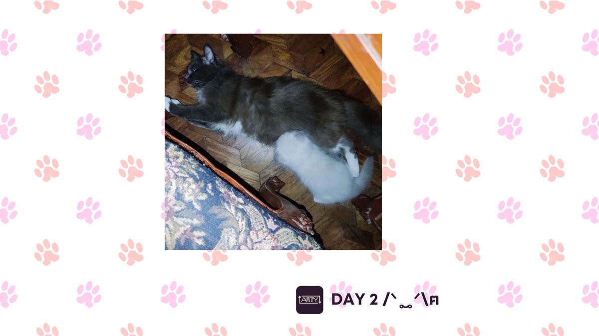 RTwithARTY's tweet photo. A clowder of cats and counting, because one clingy cat just isn't enough!
#CatInvasion #Kitty #CatsOfTwitter https://t.co/eITTPPZAwz