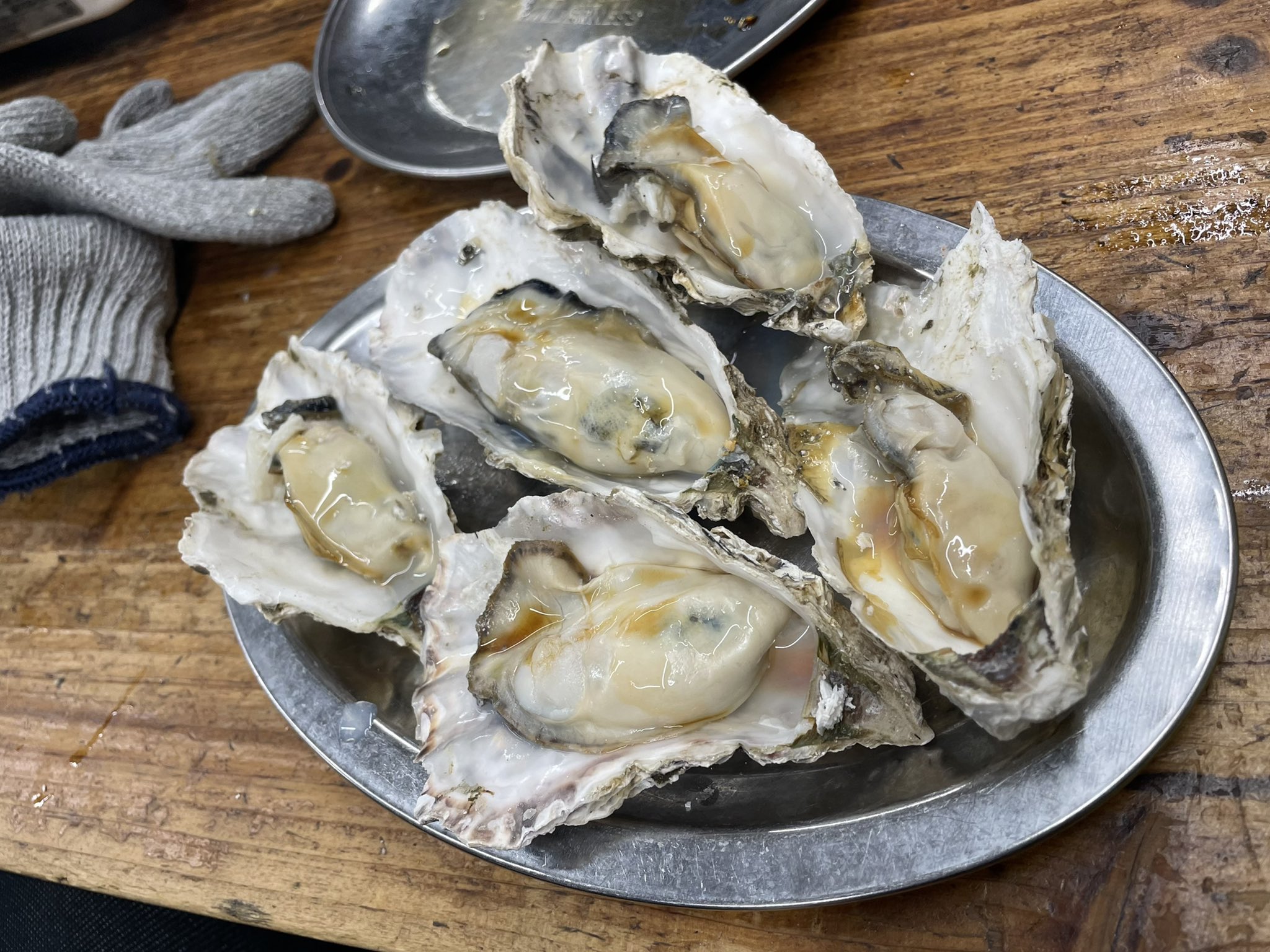 牡蠣さん専用 岩牡蠣｜福岡県糸島産『糸島サウンド』特大LLサイズ（約300g以上