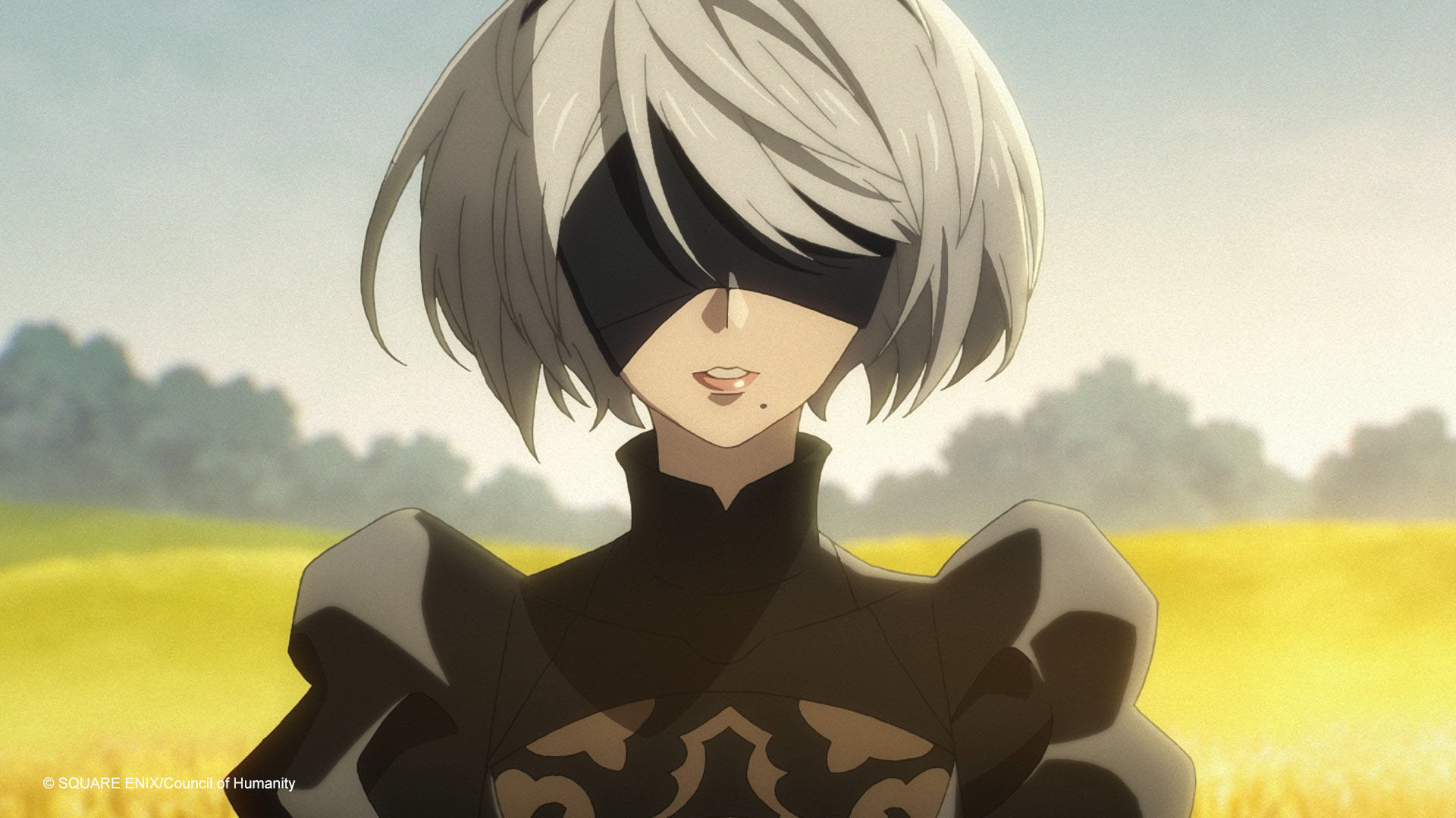 Watch NieR:Automata Ver1.1a - Crunchyroll