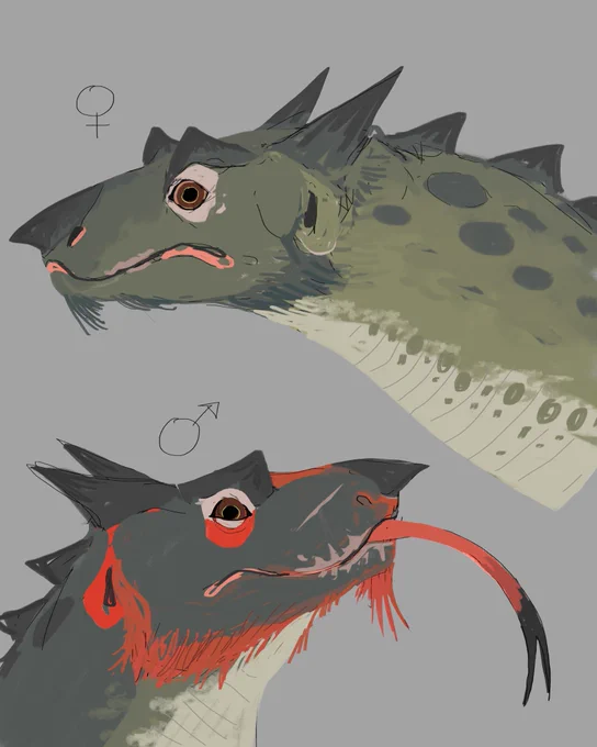 Happy dragon appreciation day. Here's some strange endothermic lizards for you 