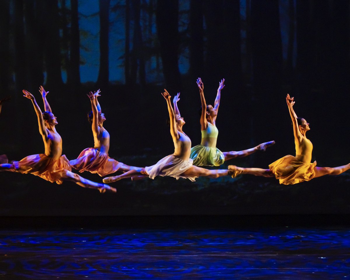 Dimensions Dance Theatre of Miami tweet media