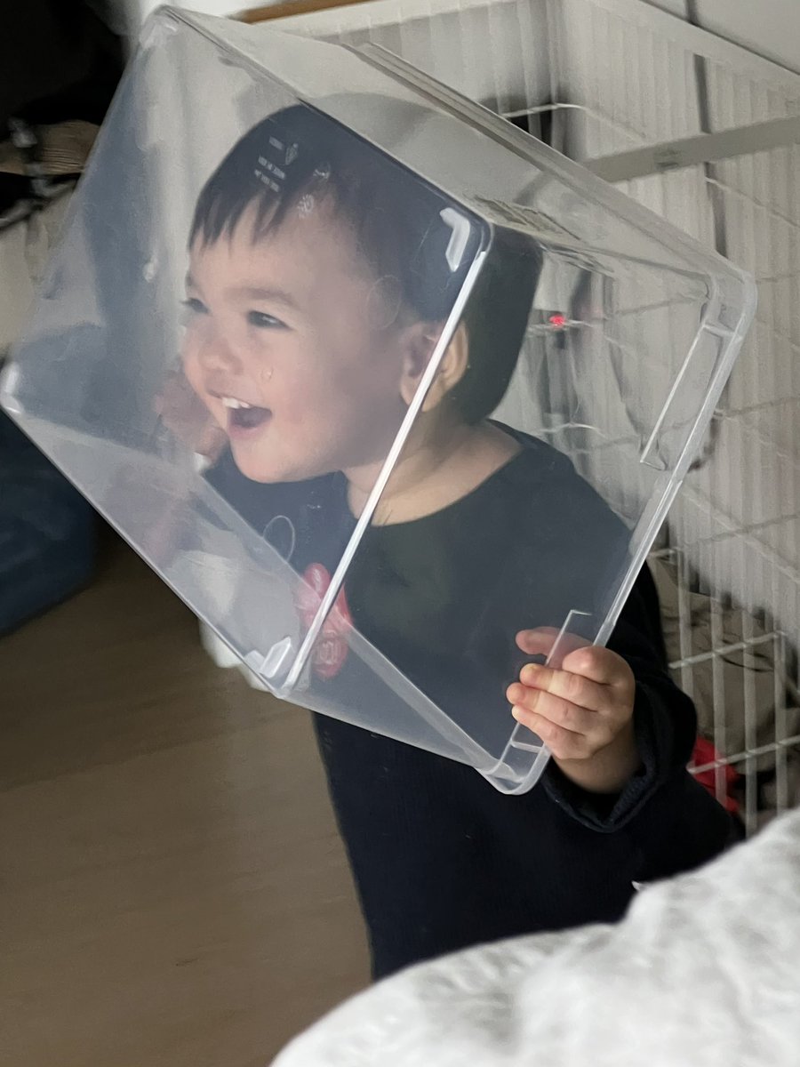 DȺN HOFFMAN 🇺🇸 tweet media