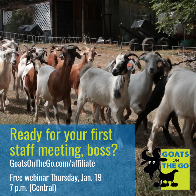 GoatsontheGo's tweet photo. Join our free webinar this Thursday at 7 p.m. Central. Learn 5 Reasons to NOT Start a Goat Grazing Business. https://t.co/GGJB9EaYeS #goatgrazing #targetedgrazing #prescribedgrazing #goatscaping #goatrental https://t.co/h1BpTTceNu