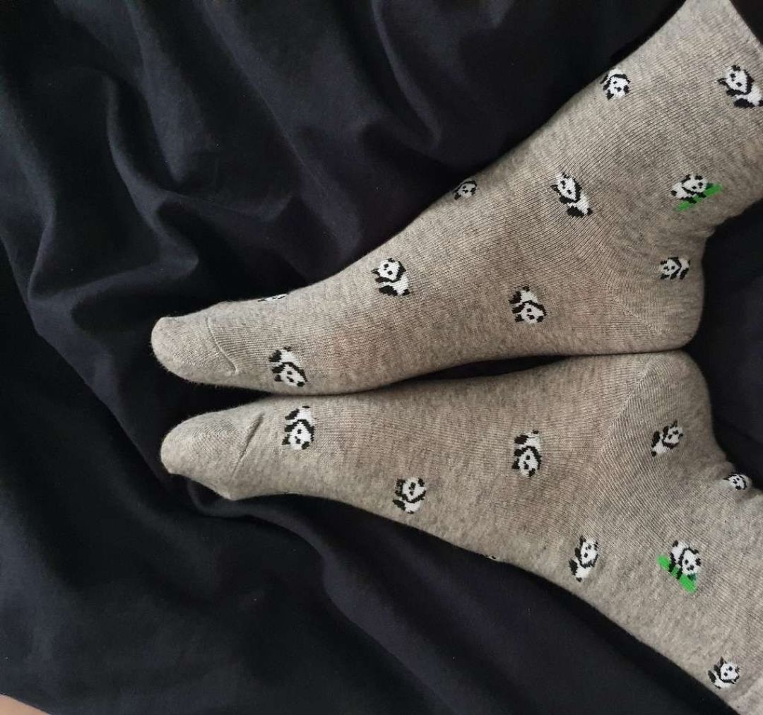 Sallryc's tweet photo. 🦶👣🐼

#socks #feetfinder #feetpic #FeetPictures #feetpicsforsales #feetِ #getragenesocken https://t.co/L0RV9LRJfC