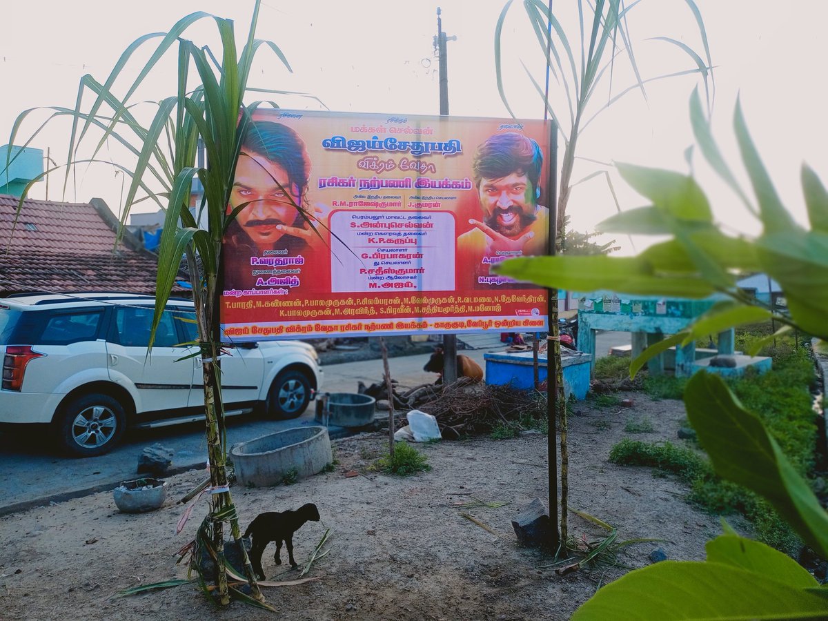 makkalselvanVi5's tweet photo. #எங்கள் #அண்ணன் #மக்கள் #செல்வன் #விஜய் #சேதுபதி #அவர்களின் பிறந்த நாளை முன்னிட்டு .#காருகுடி #வேப்பூர் ஒன்றிய கிளை. #பெரம்பலூர் மாவட்ட #தலைமையின் சார்பாக #மரக்கன்று #வழங்கப்பட்டது

#perambalurVSPFC
@VijaySethuOffl @Deva_VSP @kumaran_VSP @Bulletvikki https://t.co/P9nZe2Mk6j