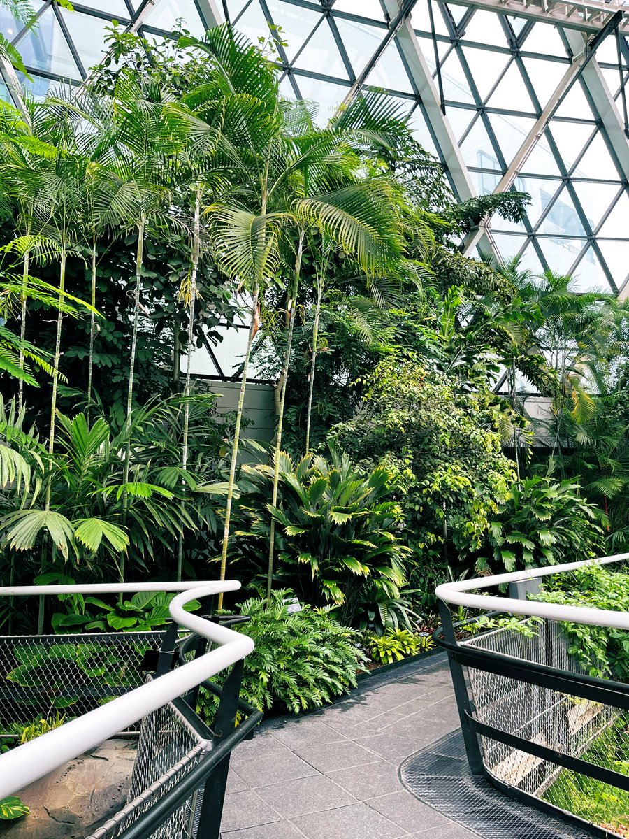 inousmaz's tweet photo. Seoul Botanic Park. #서울식물원 https://t.co/yIlIAxDBcJ