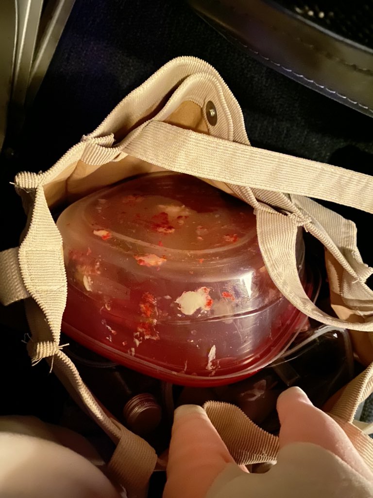 lakiyo_'s tweet photo. Smuggling a whole red velvet bunt cake across state borders wish me luck https://t.co/TxFZCIFEoe