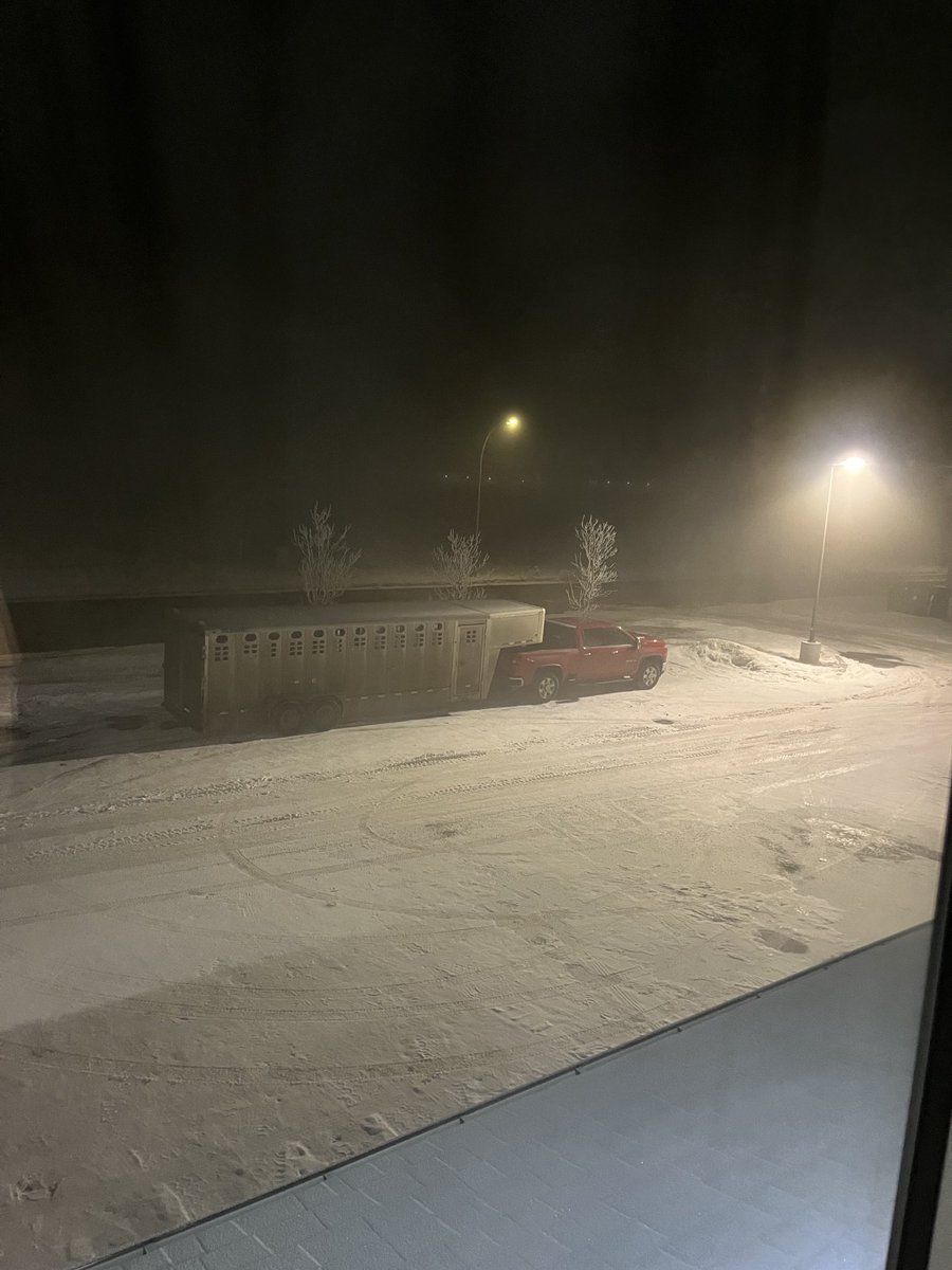 We are supposed to be in Mexico today to celebrate our 25th anniversary but thanks to #sunwing cancelling our vacation we are delivering a bull to ⁦<a href="/AltaGenetics/">Alta Genetics</a>⁩ and spending the night at the days inn. #notagoodtrade