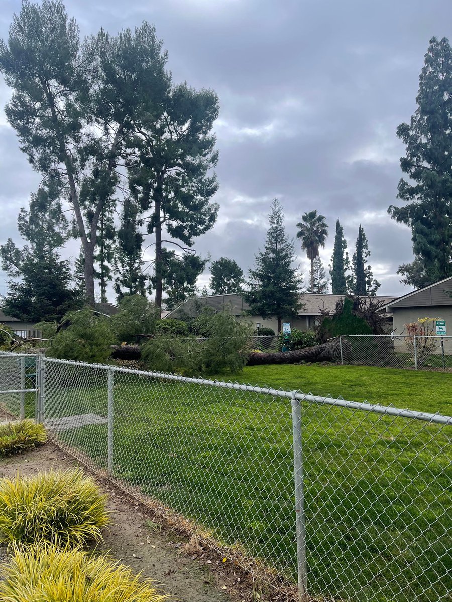 Reuben Contreras on Twitter "WIND Damage from this morning’s gusty