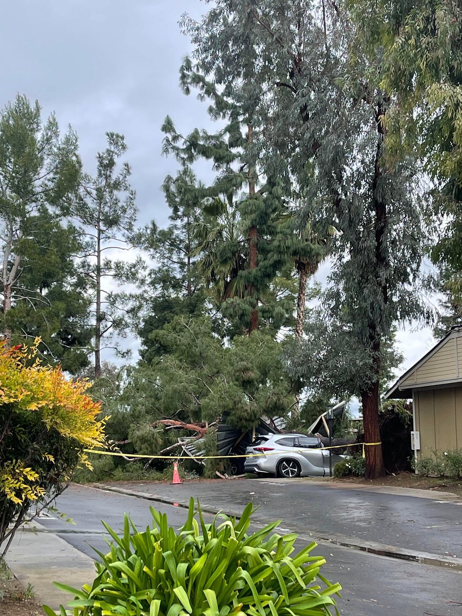 Reuben Contreras on Twitter "WIND Damage from this morning’s gusty