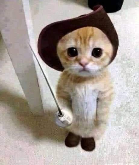 El taquillero del cine: para q película van a ser tus boletos
Yo: