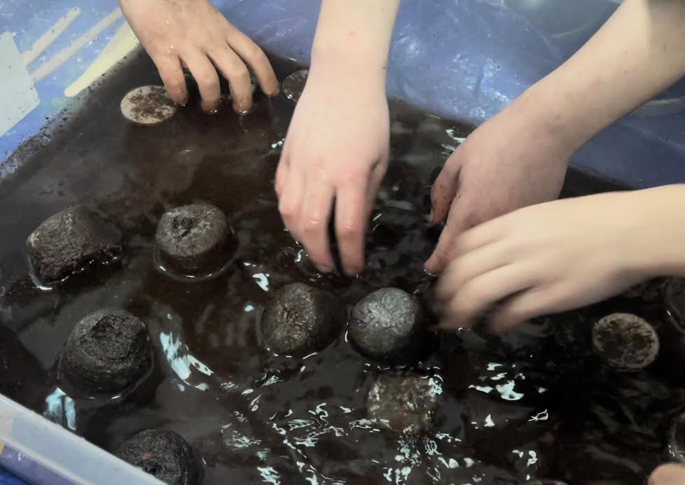 Finally getting started! Dirt and plants waiting to be explored 😊🌱
#indoorgarden #wintergardening #plants #teaching #reggio #learningthroughplay #natureschool @littlegrnthumbs