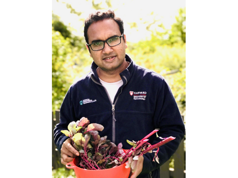 leigrow's tweet photo. "#AI...potentially optimize electricity consumption, which is one of the biggest cost drivers in #CEA; automate processes to increase productivity; optimize plant growth and predict yield to reduce uncertainty; detect inferior products to ensure quality."

https://t.co/B4VVDuHVSn https://t.co/Y6c0bBiQ3t