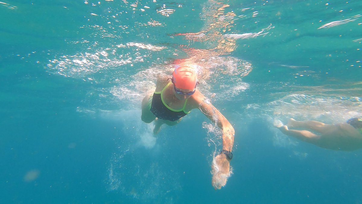 OceanSwimSafari's tweet photo. Escape from the wall… #ForsterTurtles #EarlyMorningSwim #Swim #Beach #Forster #Pacific #Australia #OpenWater #Ocean #Wild https://t.co/pTLO1BMu3e