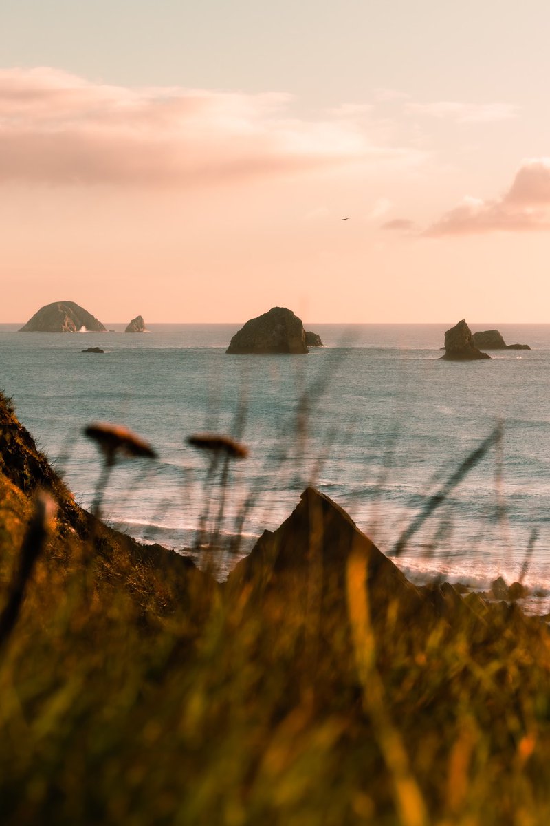jaimedelpizz0's tweet photo. from the pacific coast with love https://t.co/DuCIiKmzAm