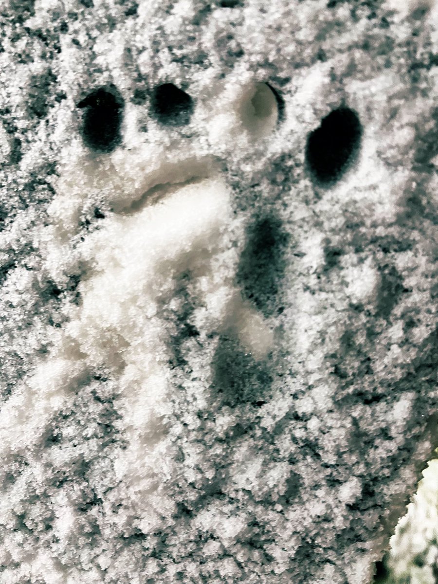 peoXtheter's tweet photo. my schmoopy poopy tought me how to make footprints in the snow. i cannot stop #blessed #bf #schmoopypoopy https://t.co/uxMrv9kylX