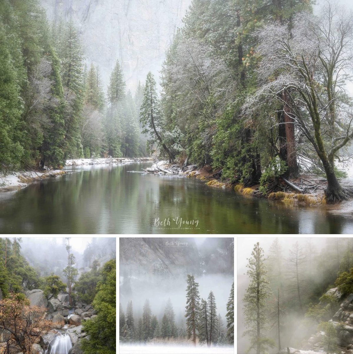 Beth Young tweet media