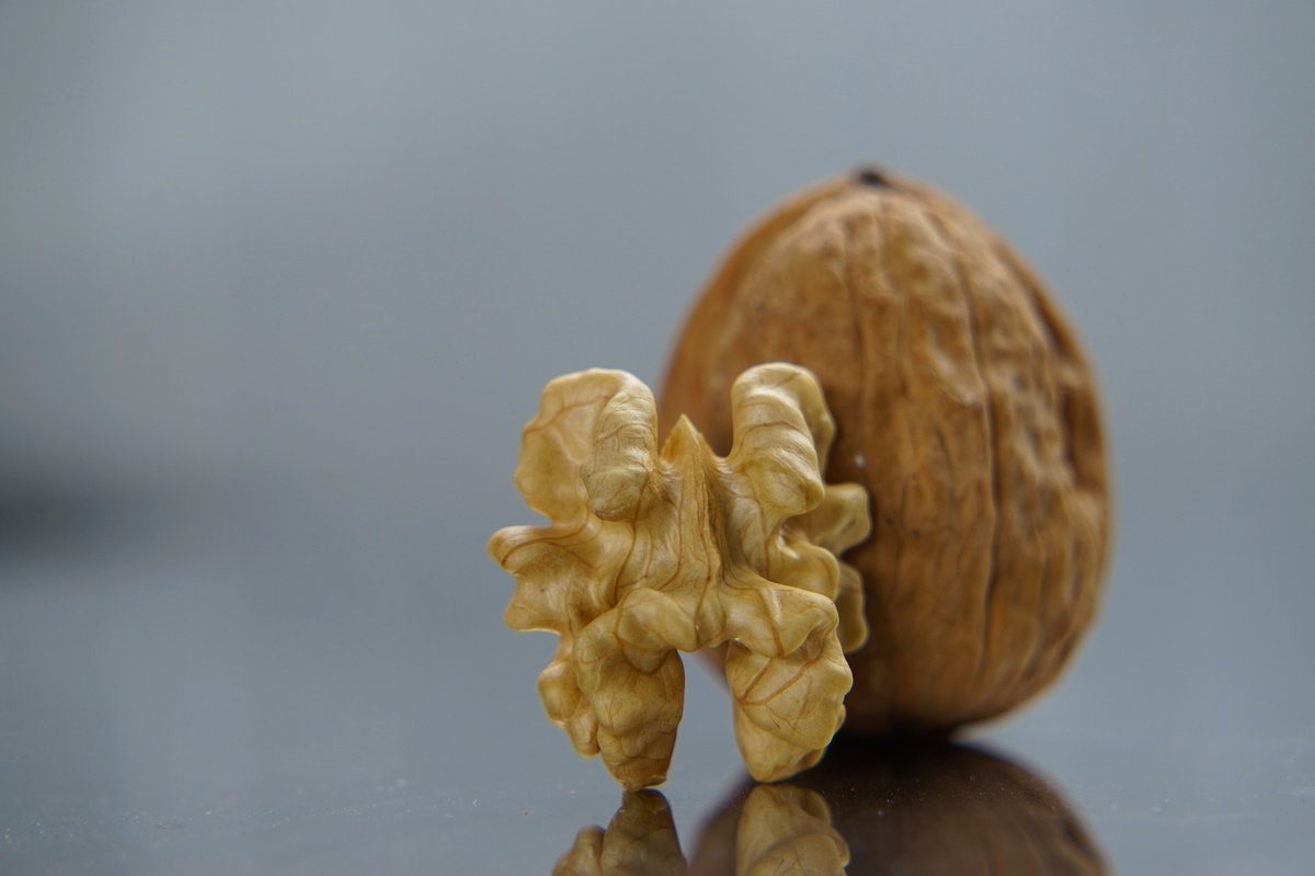 HealthyMeal007's tweet photo. Shocking Benefits of Walnuts that scientists reveal!
https://t.co/sYO7pJuo5l https://t.co/ePKCfkOvou
