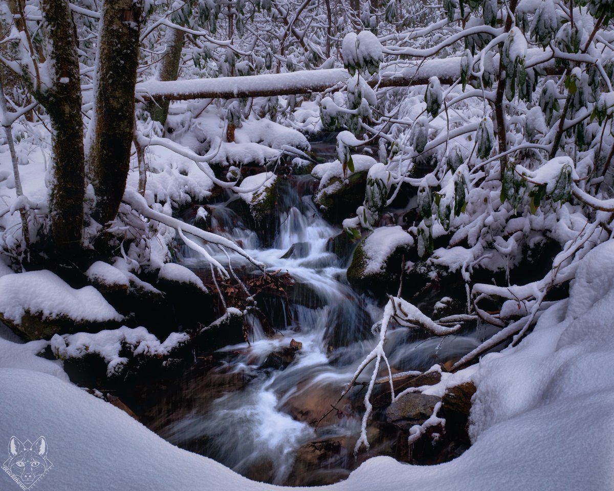 Snowy Falls, Great Smokey Mountains, North Carolina

Read More At:
blackthornephoto.com

#photography #landscapephotography #Appalachia #GSM #GreatSmokeyMountains #MaxPatch #Winter #Snow #Water #Waterfall #NationaForest #WesternCarolina #blackthornephoto