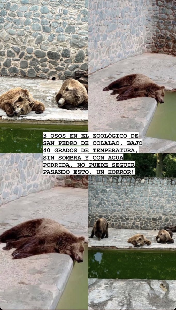 eeemiliano's tweet photo. Me hacen llegar esto, un horror todo. No se siquiera a quién debería llegar, pero ojalá se pueda hacer algo. https://t.co/QGROdf79Oh