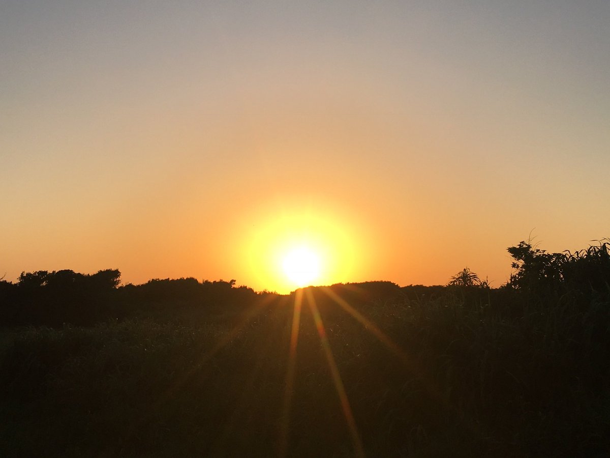 kawataru_j's tweet photo. 28 years have passed since the Great Hanshin-Awaji #Earthquake. I would like to express my deepest condolences to all the victims of the earthquake and extend my deepest sympathies to the bereaved families.
#PrayForKobe #neverforget #Japan #阪神淡路大震災 #神戸 #日本 #黙祷 https://t.co/CobBMWaegs