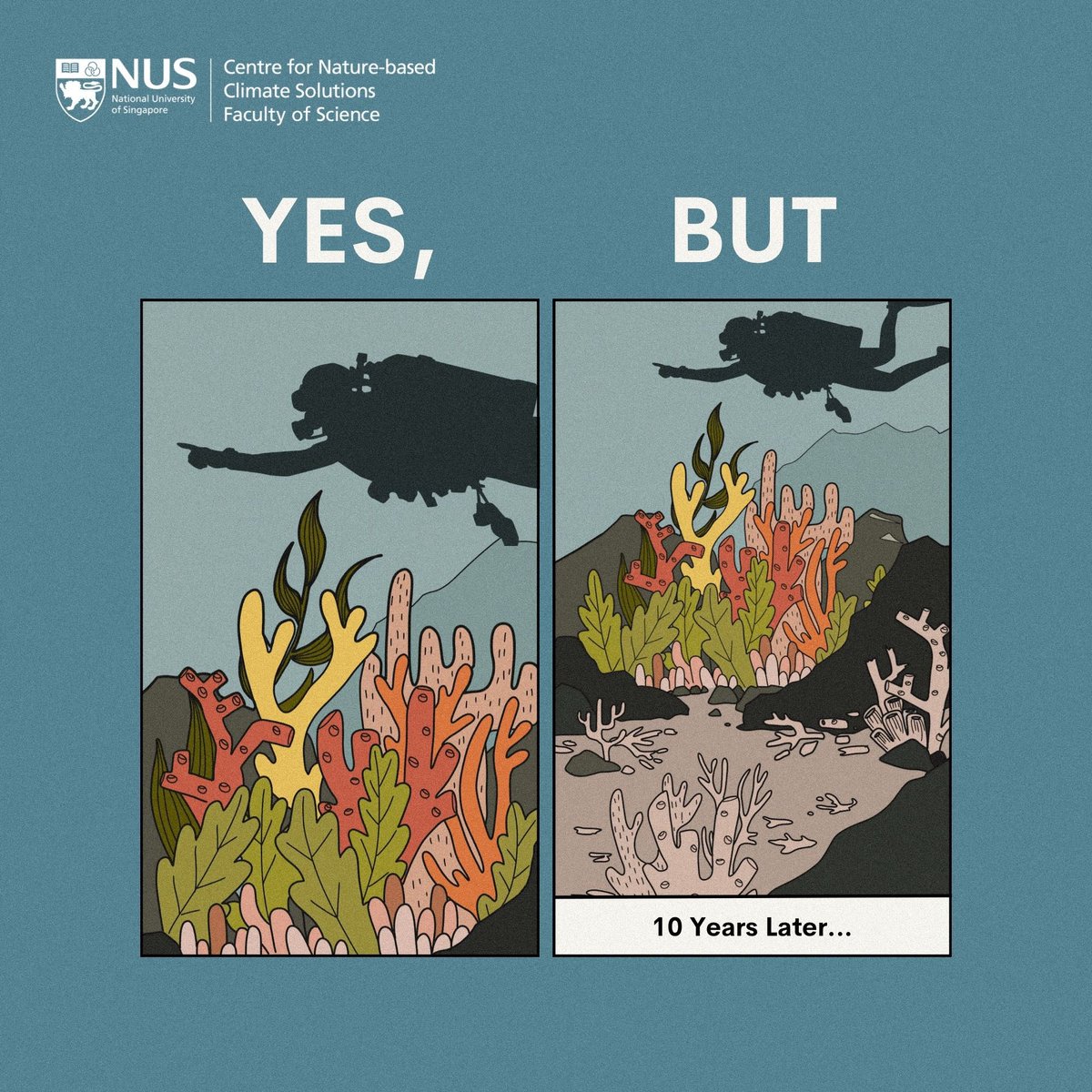 Nature provides us w many benefits, but careful policy considerations are required if we want to reap them consistently. 

Check out our new meme series which highlights the trade-offs, opportunity costs and conflicting priorities in the implementation of nature-based solutions: