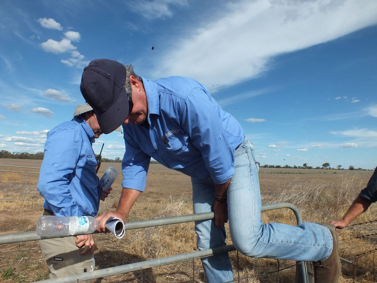 jo_noCSG's tweet photo. Just a reminder, this is what happened last time somebody from the @LiberalNSW granted an ATS to a company that wanted a gas pipeline in NSW. Sent packing by community & we will do it again #CSG #AUSpol #NSWVotes https://t.co/38nyAHcDVf
