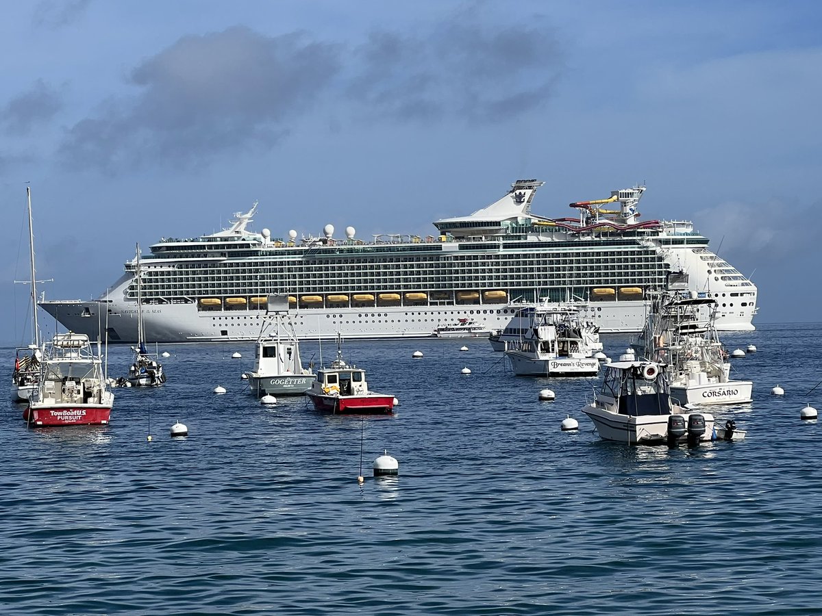 The Royal Caribbean Navigator of the Seas cruise ship was amazing. We had an excursion day in Catalina Island. 🚢 #CatalinaIsland #RoyalCaribbean