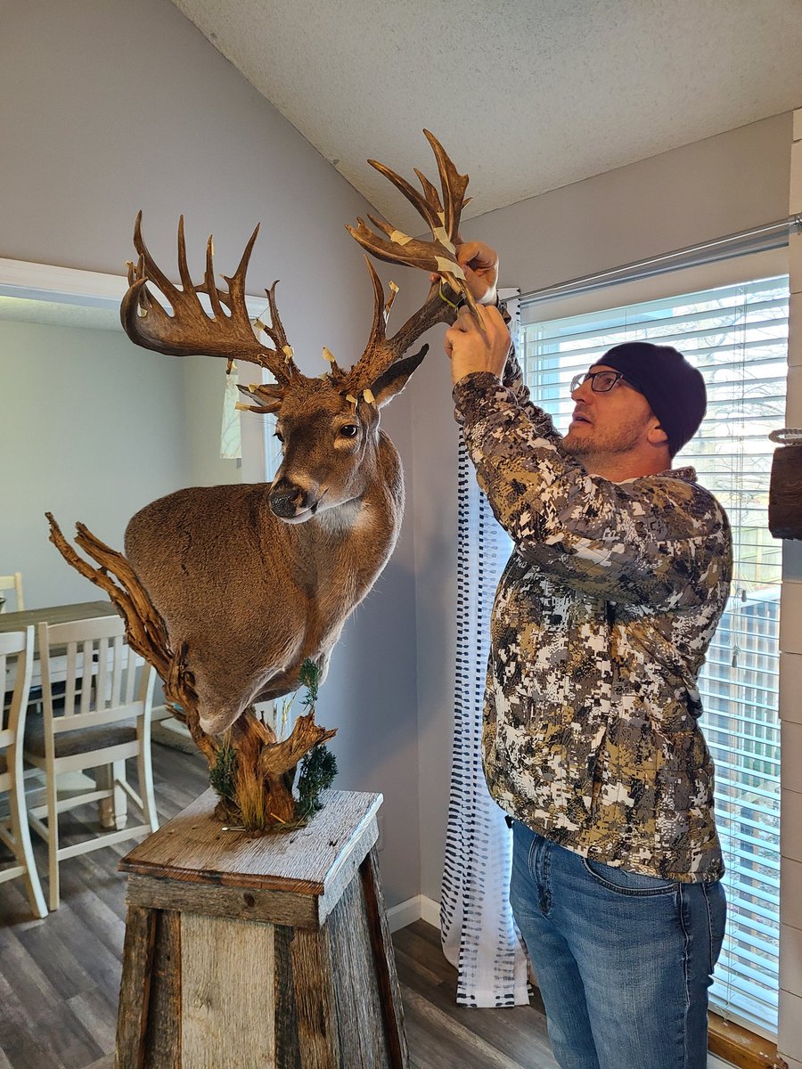 250 7/8" net non typical Show Me State Giant. <a href="/DruryOutdoors/">Drury Outdoors</a> <a href="/mikehanback/">mikehanback</a>