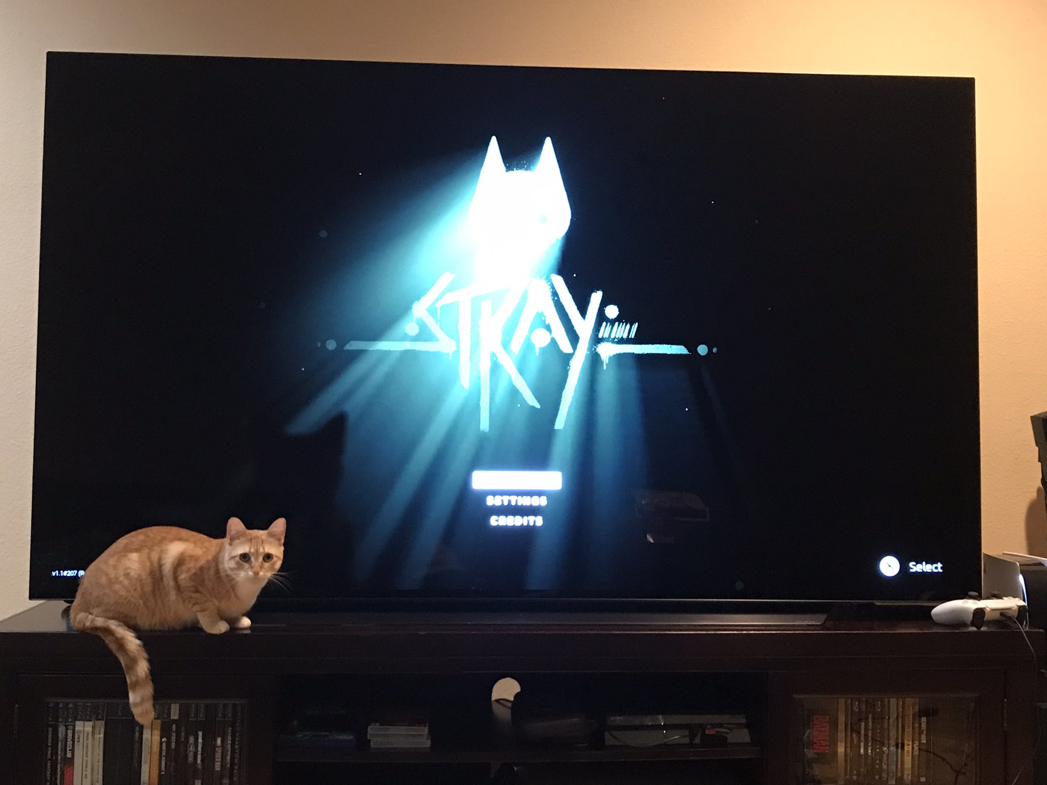 Stray - O jogo do gato #PS4 