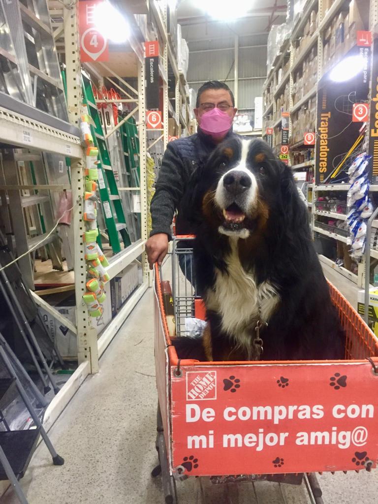 FGVEcuador's tweet photo. @HomeDepot Mexico, @HomeDepotDogs, https://t.co/WCHo4UgZnH