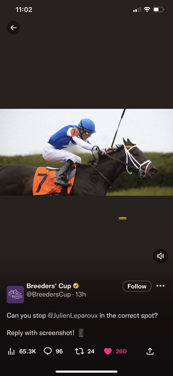 ELEyeOG's tweet photo. @BreedersCup @JulienLeparoux Rolex Ride? https://t.co/4hwrhcDICP