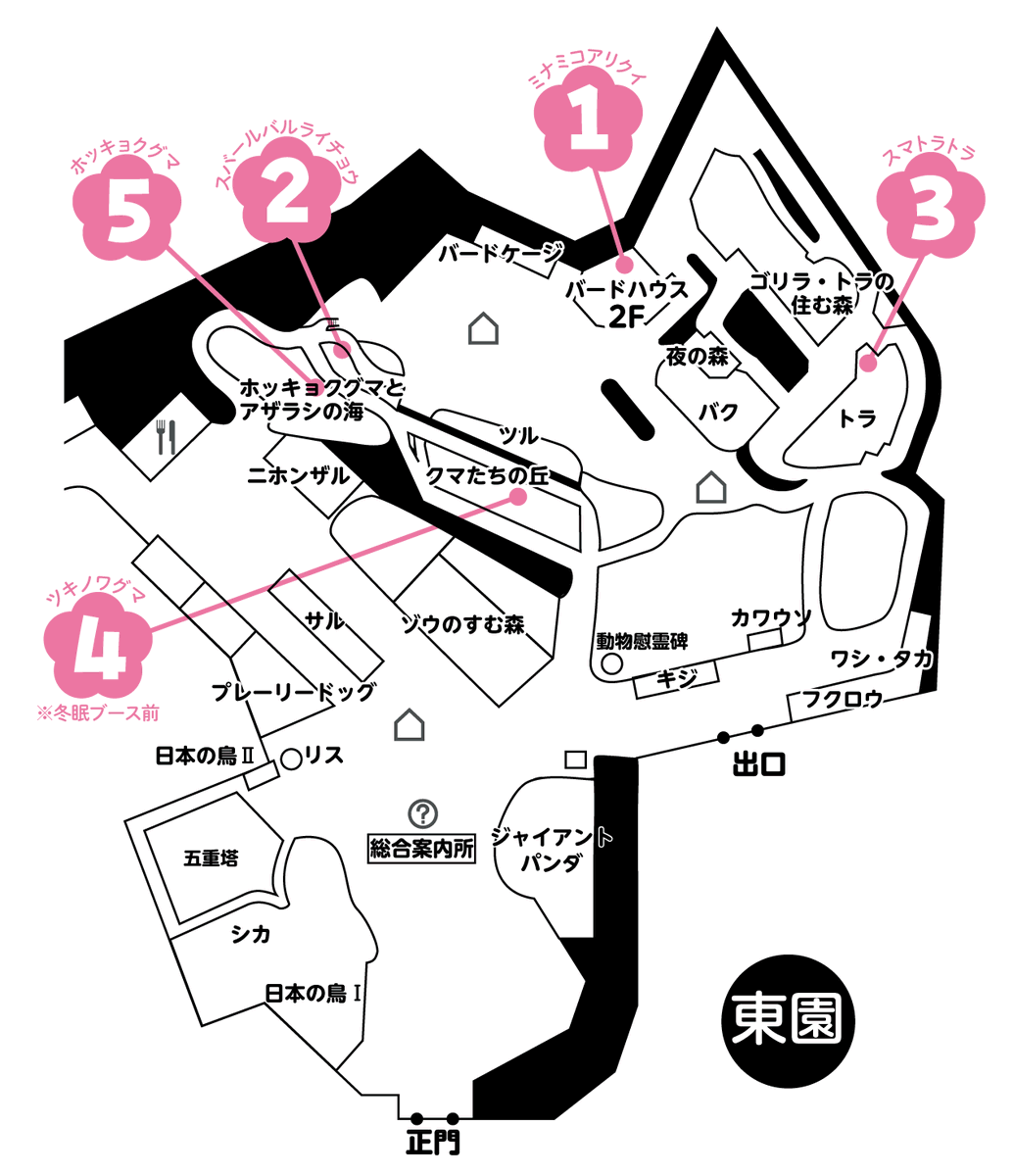 🌸パンダとの共通点を見つける！ 園内の動物めぐり🌸東園エリアで飼育