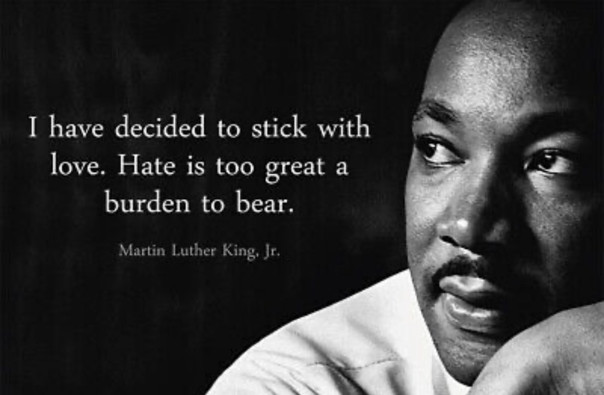 shadi rezvan tweet media