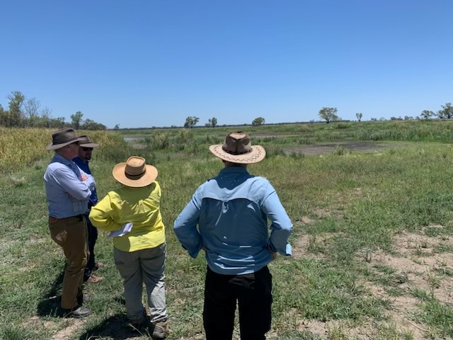 theCEWH's tweet photo. A wet spring has triggered large-scale waterbird breeding in the Gwydir Wetlands, for the 2nd year in a row! π₯³
CEWH Simon Banks visited the site to catch up with community members and check out the wetlands following recent wet conditions.
#FlowUpdate: https://t.co/YaFxvXGztg https://t.co/o8fOqrwRJI