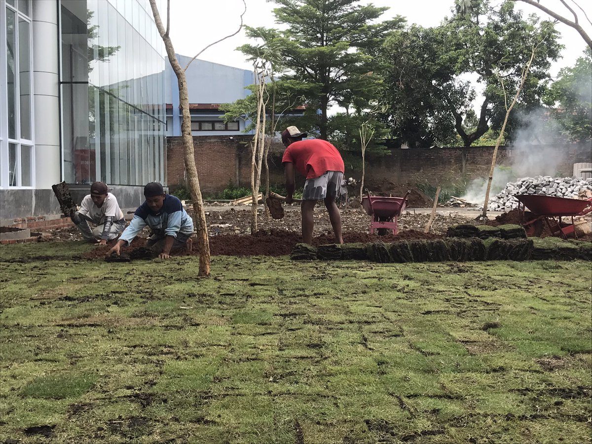 tumbuhsetaman's tweet photo. Pemasangan Rumput Jepang https://t.co/yWvNVPiV0H