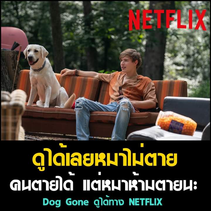 zenoja69's tweet image. ดุดันไม่เกรงใจใคร 🔥 NETFLIX (แอคนอก) 💥

      👊🏻 ﹏30 วัน 95 บาท ﹏👊🏻

◡̈ จอส่วนตัว
◡̈ รับชมได้ทุกอุปกรณ์
◡̈ รับประกันตลอดการใช้งาน
ツ สั่งซื้อ&amp;amp;สอบถาม ➸ lin.ee/0R7Zq1J

#หารnetflix #netflixราคาถูก #เน็ตฟลิกซ์พร้อมส่ง