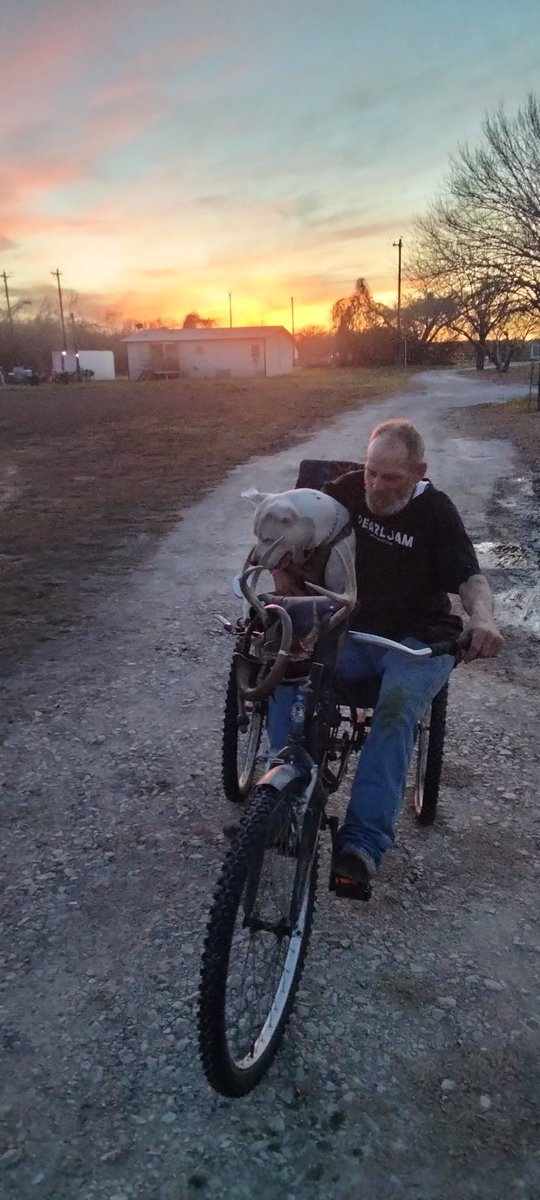 Michell41781184's tweet photo. Cotton and his best friend Tilly. He is now homeless because his house burned down. I know there still caring loving people out there? I can't help but think what if this was me ,What would I do ? With no family. He is slow I'm sure that very scary  him.!#I gave him a room https://t.co/ftDtoHLUo3